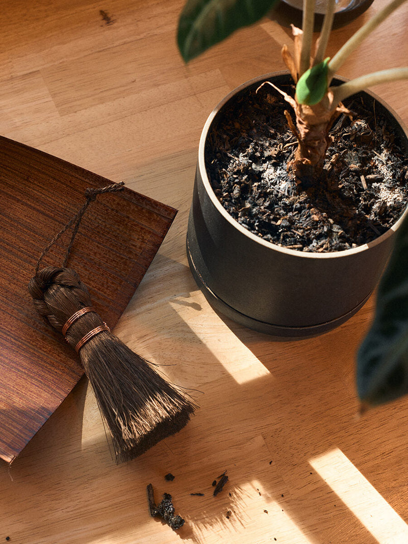 Broom Craft